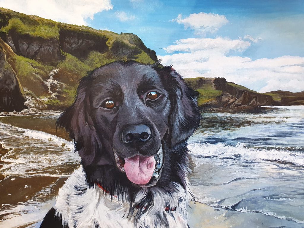Painting commission by Dr Donna Winderbank-Scott - “Zorro” Acrylic on Board: completed painting Stabyhoun 2020