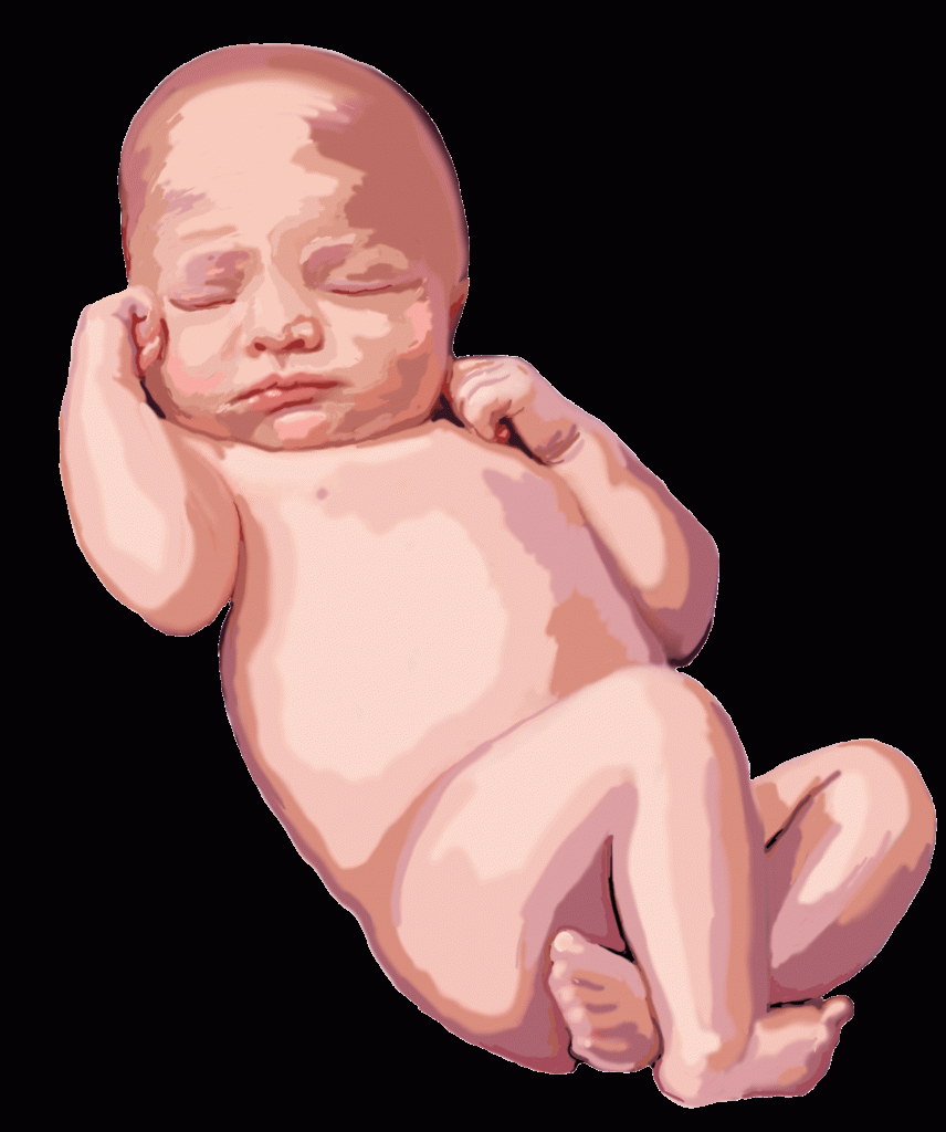 Baby Without Cord Medical Illustration