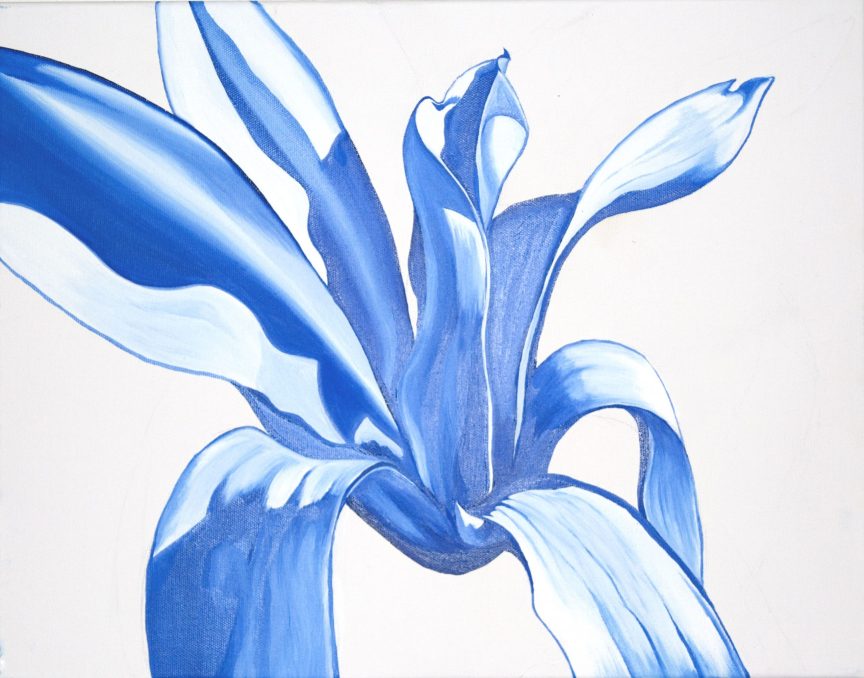 "Magnolia Flowers Part 2" Oil on stretched Canvas: studies of magnolia flowers; concentrating on light, shade and structure in a restricted colour palette of blues.